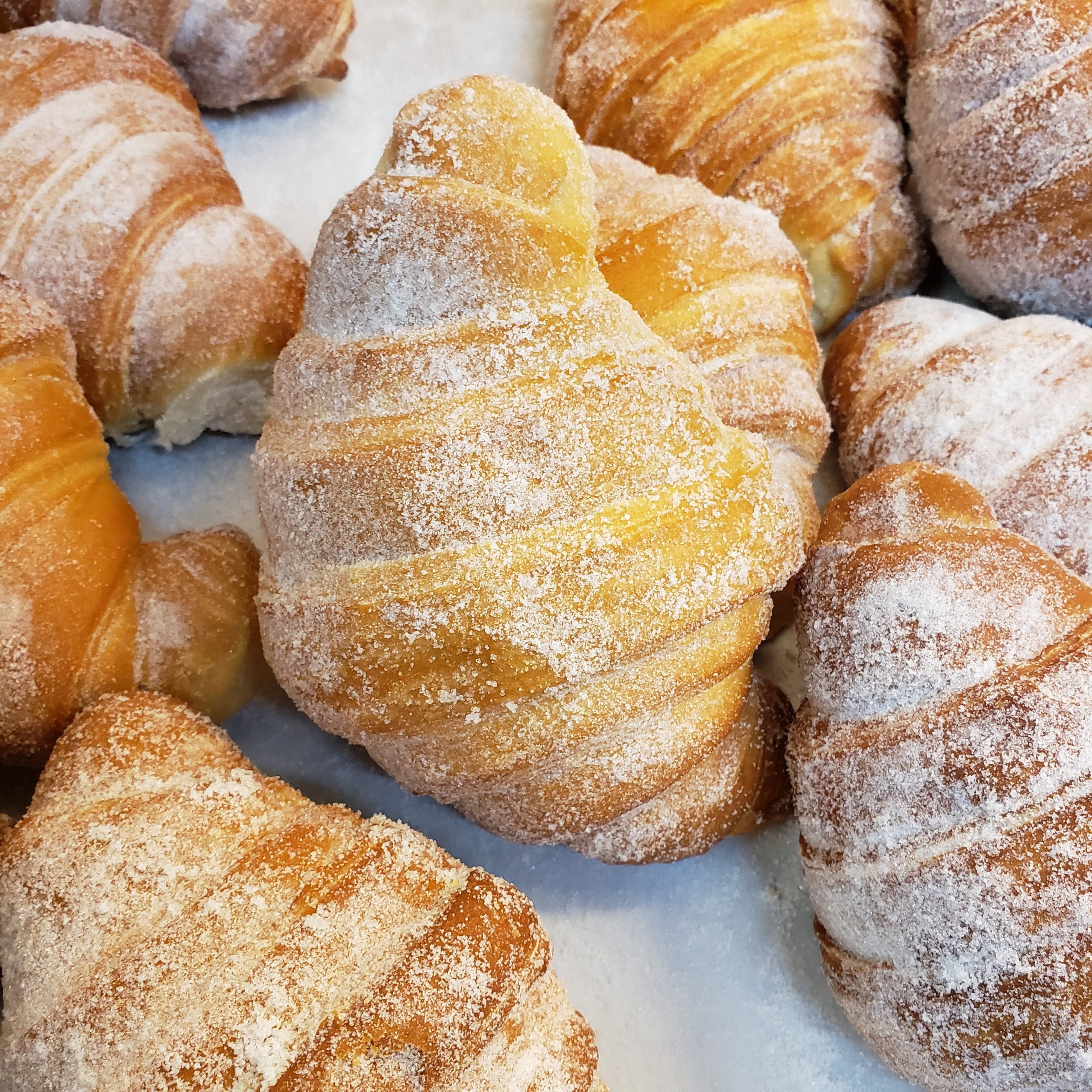 Bigotes | Pacos Bakery